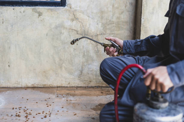 Best Wasp Removal Services  in Galeville, NY