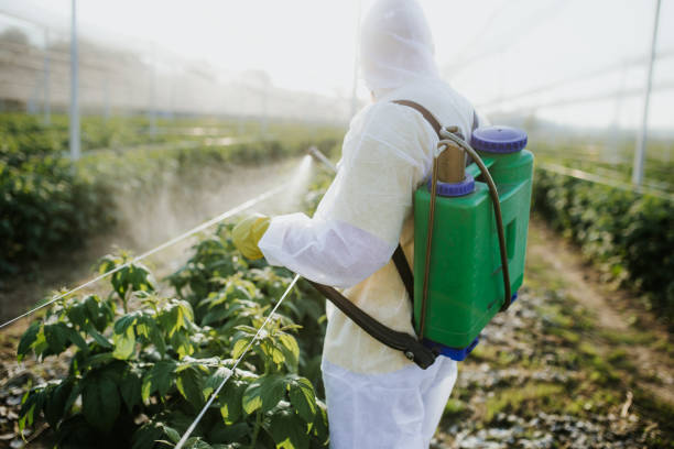Best Commercial Pest Control Services  in Galeville, NY